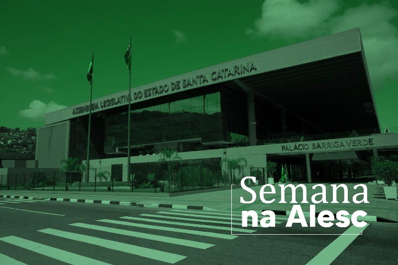 ALESC: Violação de Direitos de Crianças e Adolescentes e Direitos do Consumidor são destaques da semana