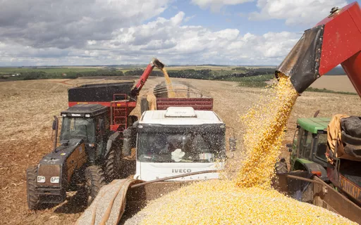 Balança Comercial Registra Superávit de US$ 1,09 Bilhão na 3ª Semana de Agosto; Acumulado Mensal Ultrapassa US$ 3 Bilhões