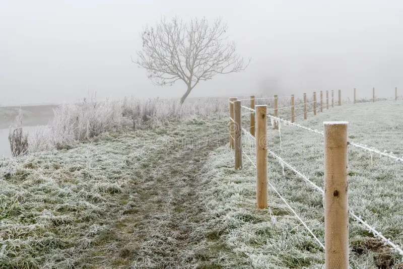 Combo climático coloca Serra Catarinense em alerta para temporais, frio intenso e chance de neve