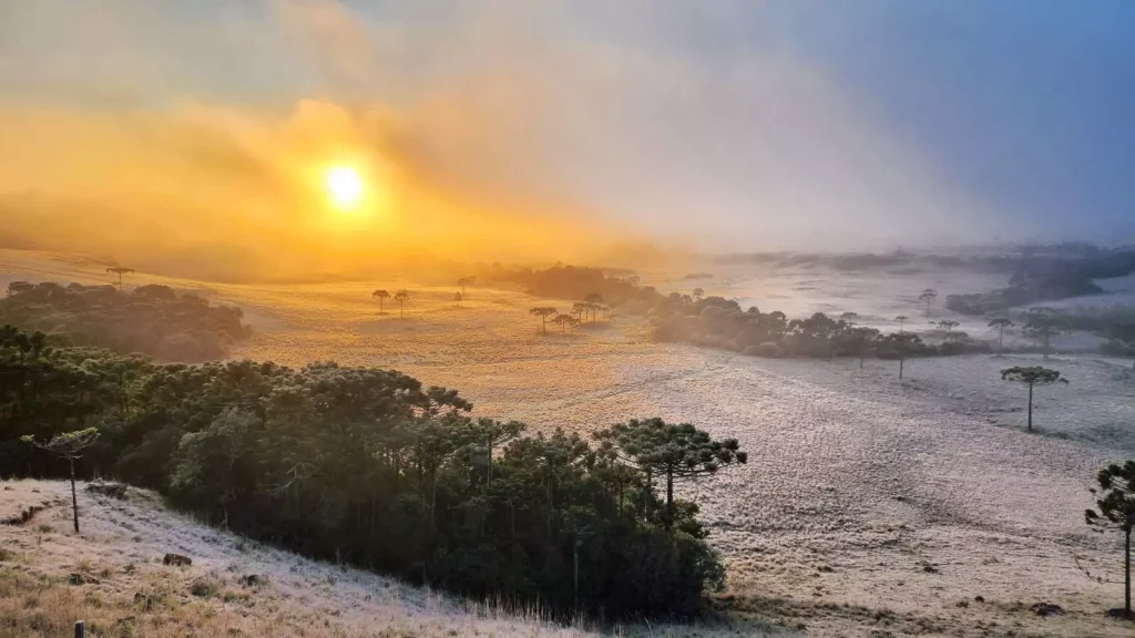 Termômetros despencam e Serra Catarinense registra terceira neve da temporada, com sensação térmica de até −12 °C