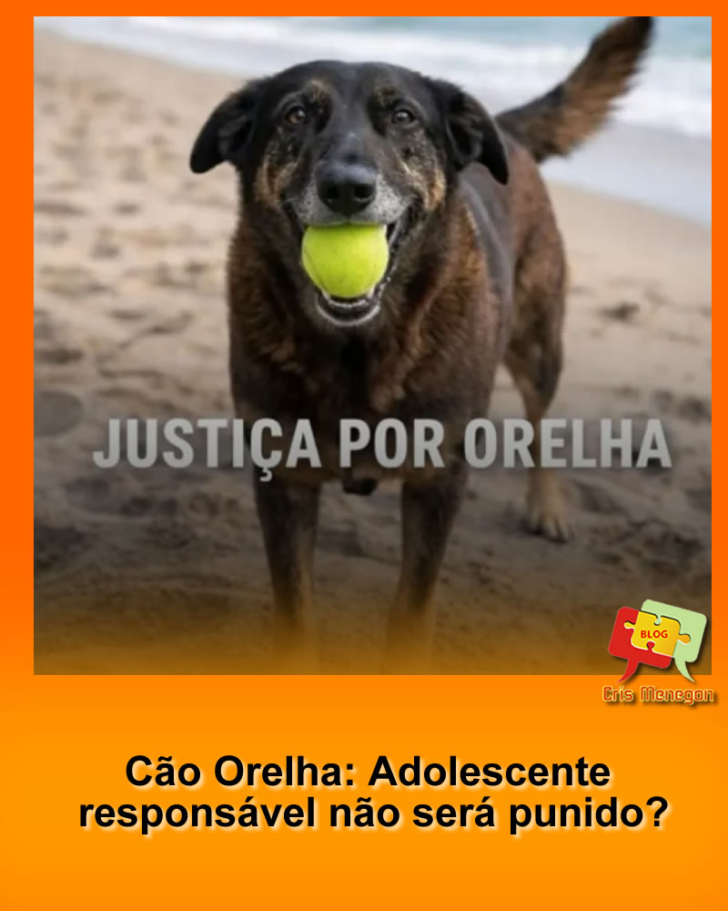 Cão Orelha: Adolescente responsável não será punido?