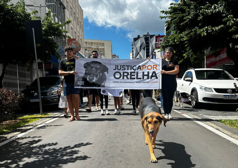 Manifesto em Lages pede justiça pela morte brutal do Orelha 